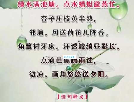 蜻可以组什么词？记住这几个就够了！