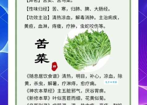 处暑吃什么蔬菜不伤身？推荐十种清热排毒好选择！