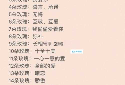 玫瑰花朵数代表的含义解析,让你送花更有心