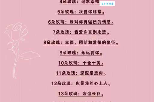 玫瑰花朵数代表的含义解析，让你送花更有心