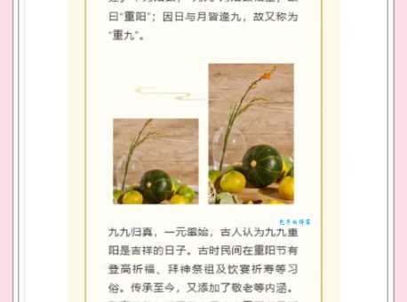 九月九重阳节什么意义?不仅是登高赏菊那么简单。