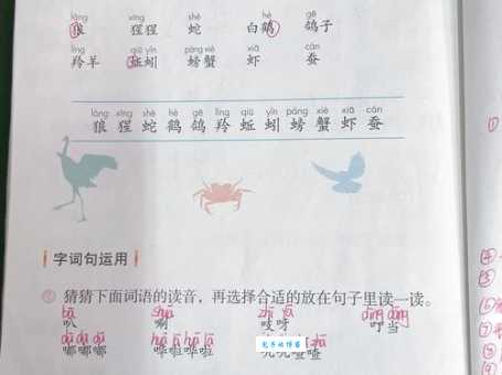 鹤的拼音和词语详解,深入理解记忆更牢!