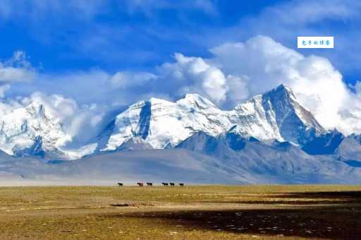 世界屋脊指的是什么地方？带你了解神秘高原！
