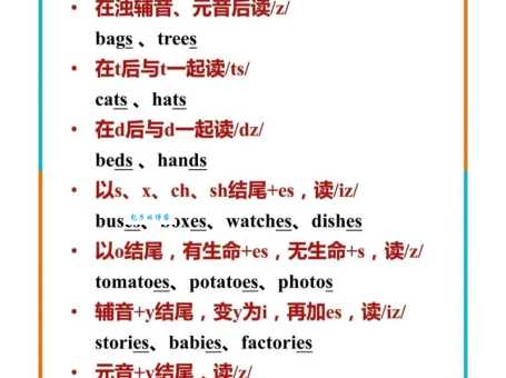 quintus什么意思？原来它有这些独特含义！