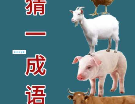 九牛一毛打一准确动物到底是什么？谜底揭晓！