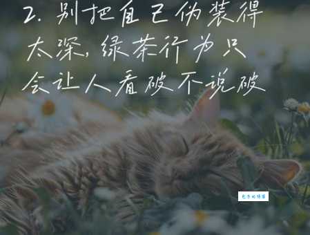 绿茶是指什么样的人？别被她的假象给迷惑了！