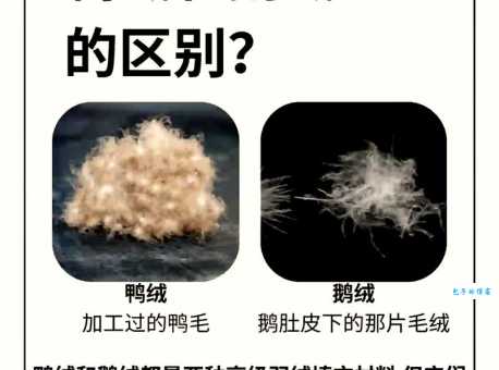 分不清毛茸茸和毛绒绒的区别?这篇文章帮你搞明白! 分不清毛茸茸和毛绒绒的区别?这篇文章帮你搞明白!