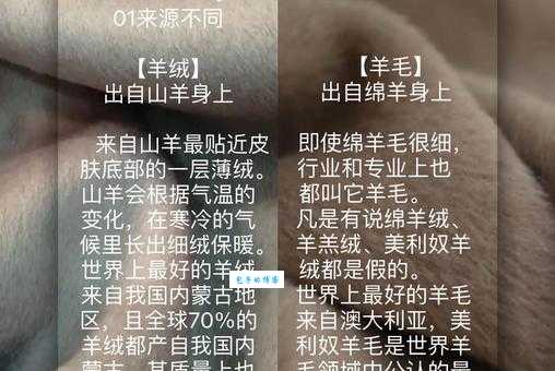 分不清毛茸茸和毛绒绒的区别?这篇文章帮你搞明白!