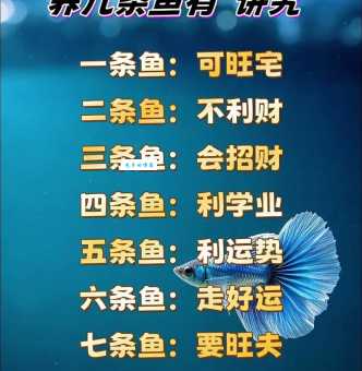 家里养鱼养几条好?鱼缸大小决定鱼儿数量!