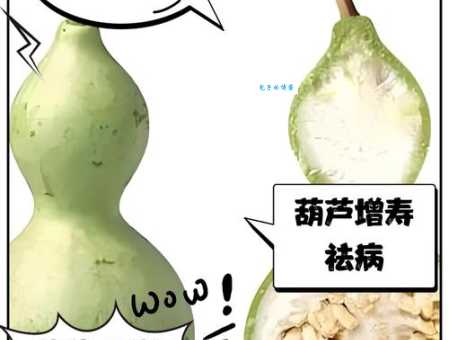 葫芦的寓意和象征大揭秘，原来好处这么多！