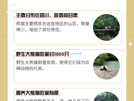 揭秘大熊猫为什么被视为中国的国宝？原来有这些原因！