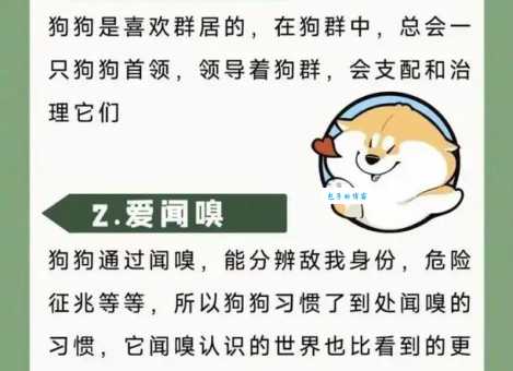 了解狗的生活习性,和你的狗狗更亲密! 了解狗的生活习性,和你的狗狗更亲密!