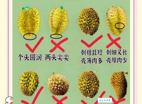 轻松打开硬壳榴莲!这些小窍门让你吃得更方便!