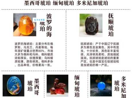 琥珀怎么形成?看完这篇你就懂了!