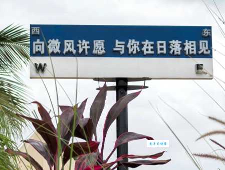 面朝大海春暖花开什么意思？带你感受理想生活的向往。