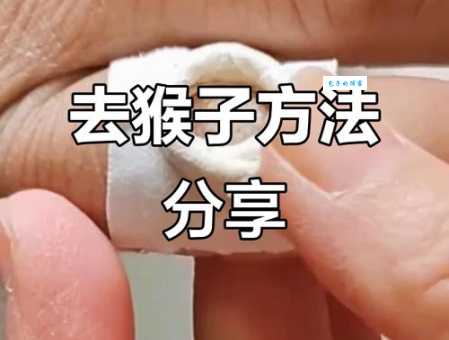 猴子最讨厌什么线？专家告诉你如何有效驱猴防猴！