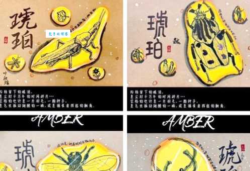 一块琥珀是怎么形成的？大自然背后的秘密！