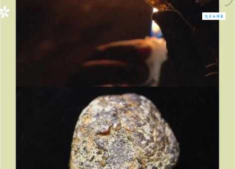 一块琥珀是怎么形成的？大自然背后的秘密！