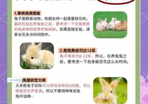 宠物兔子好养吗？养之前你需要知道这些！