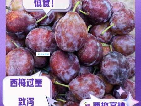 西梅是什么季节的水果？把握最佳食用时间！