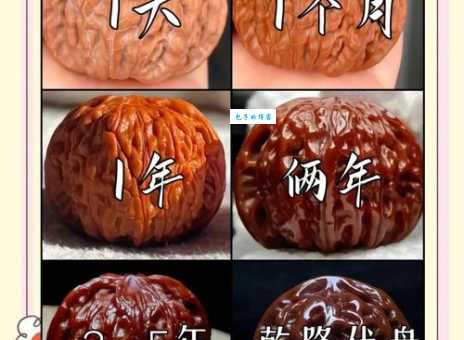 玩核桃什么叫阴盘？看完这篇你就全都明白了