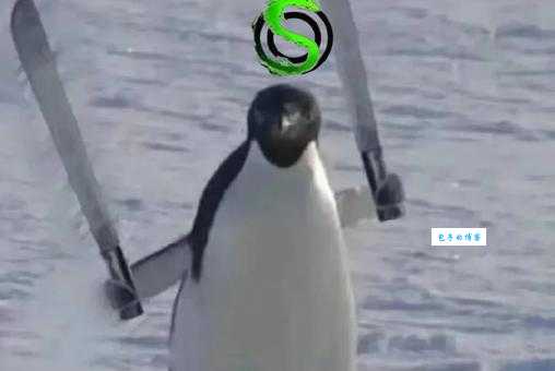 找塞班是什么梗？看完这篇你就明白了！