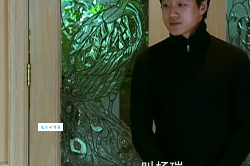 玉观音剧情简介： 安心与杨瑞的虐恋情深！