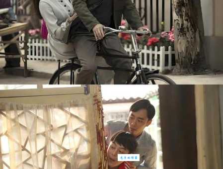 平凡岁月剧情介绍大结局 (幸福圆满还是遗憾？)