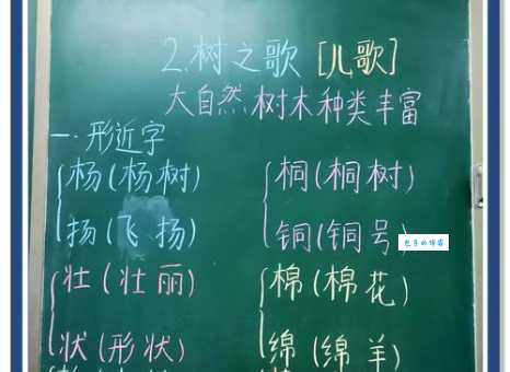 别再读错了！树冠的读音到底是第几声？帮你纠正！