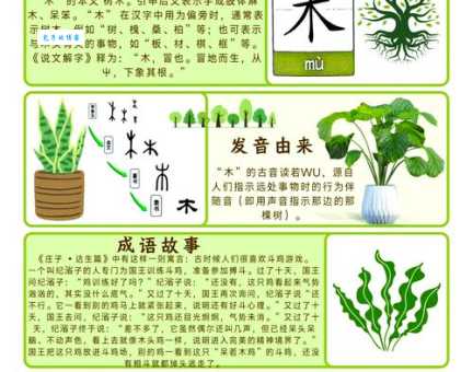 遇到三个火一个木念什么字？超详细解读让你不再犯错