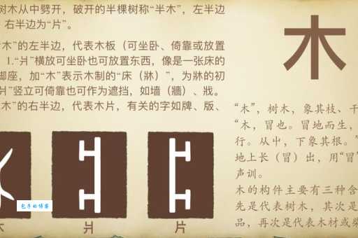 遇到三个火一个木念什么字？超详细解读让你不再犯错
