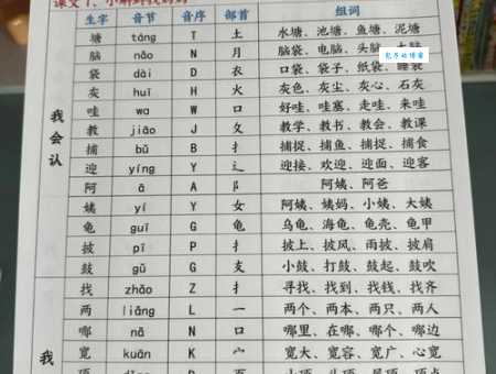 洞组词语用法和组词技巧分享！让你轻松掌握组词法！