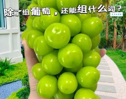 萄组词2个字怎么组最好?推荐这几个经典组合