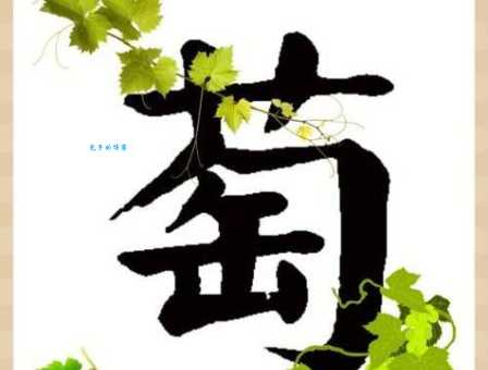 萄组词2个字怎么组最好？推荐这几个经典组合