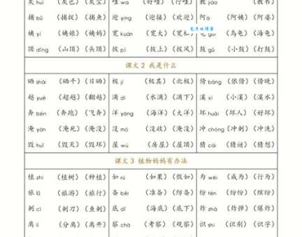 裁的拼音和组词大全分享，轻松掌握汉字用法！