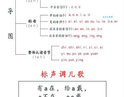 竹子的拼音和声调是什么？零基础也能快速学会读音！