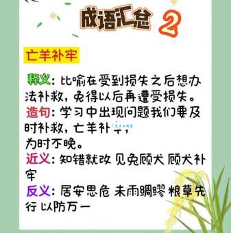 九死九生的成语解释是什么？看完这个故事你就懂了！