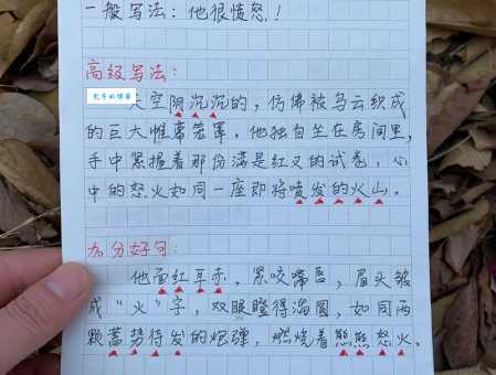 火树银花造句练习：几个经典例句教你活学活用