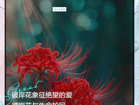 彼岸花的寓意和花语是啥？了解它背后的凄美爱情故事！
