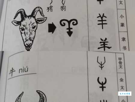 三人骑头无角牛代表哪个字？快速教你如何通过拆字解谜！