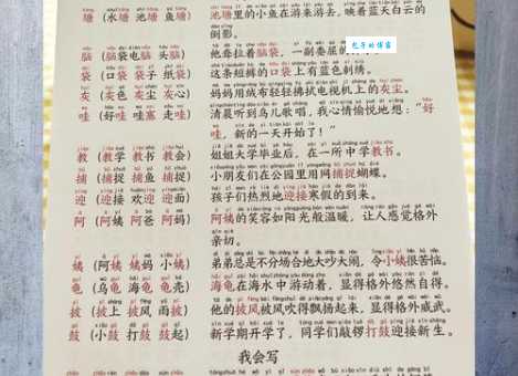 关于焦字组词有哪些?这篇总结带你快速学会组词!