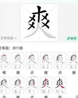 爽的笔顺演示视频，带你快速掌握这个字的正确写法