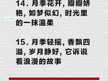 闭月羞花造句有哪些？这些经典句子助你提升文采！