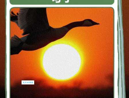 松柏造句大全：教你如何写出描写松柏坚韧品质的句子！