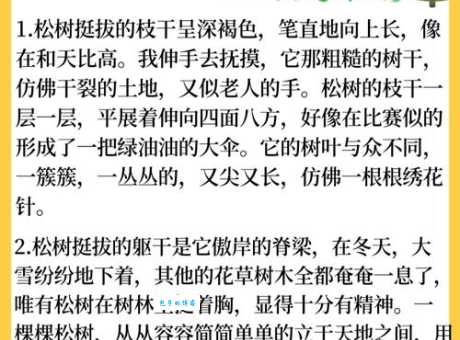 松柏造句大全：教你如何写出描写松柏坚韧品质的句子！