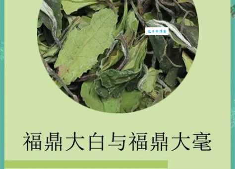 真相大白的意思到底怎么理解?这几点解释非常详细!