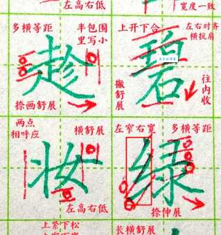 寡的笔顺怎么写？教你正确书写顺序和结构