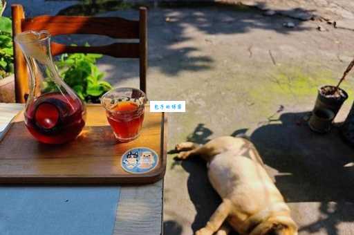 闲散的意思是什么？这几个生活案例带你理解含义！