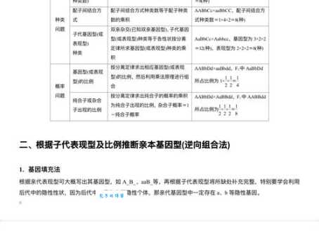 amplify是什么意思及用法？从基础含义到进阶例句全覆盖
