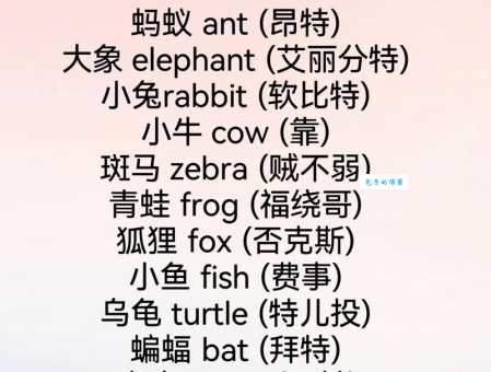 animals英语怎么读?从零基础开始教你正确读音技巧